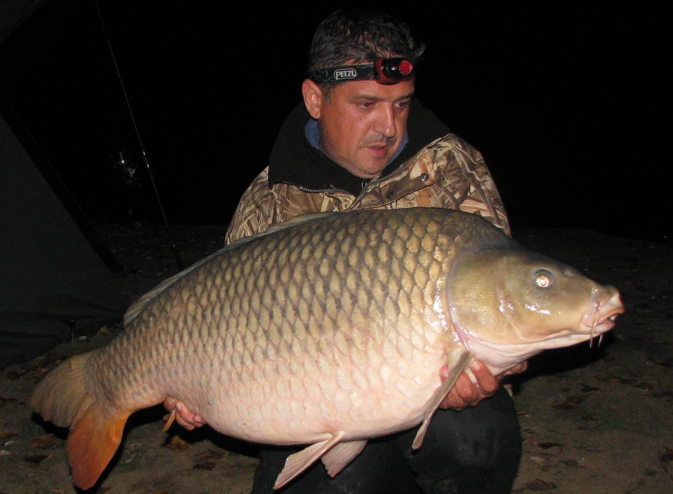 septembrie - octombrie 2012 - 22,5 kg